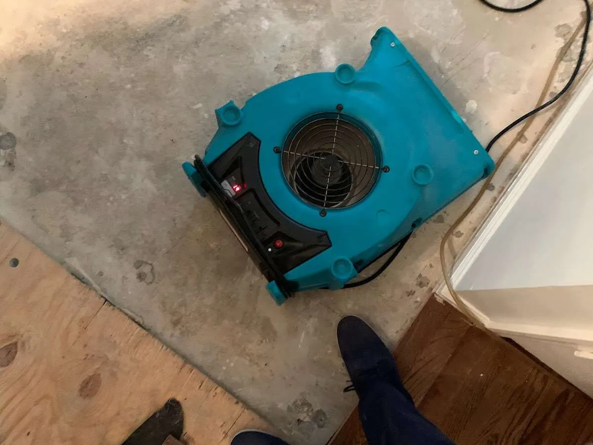 Air mover drying subfloor during Commercial Water Damage Restoration in West Haven